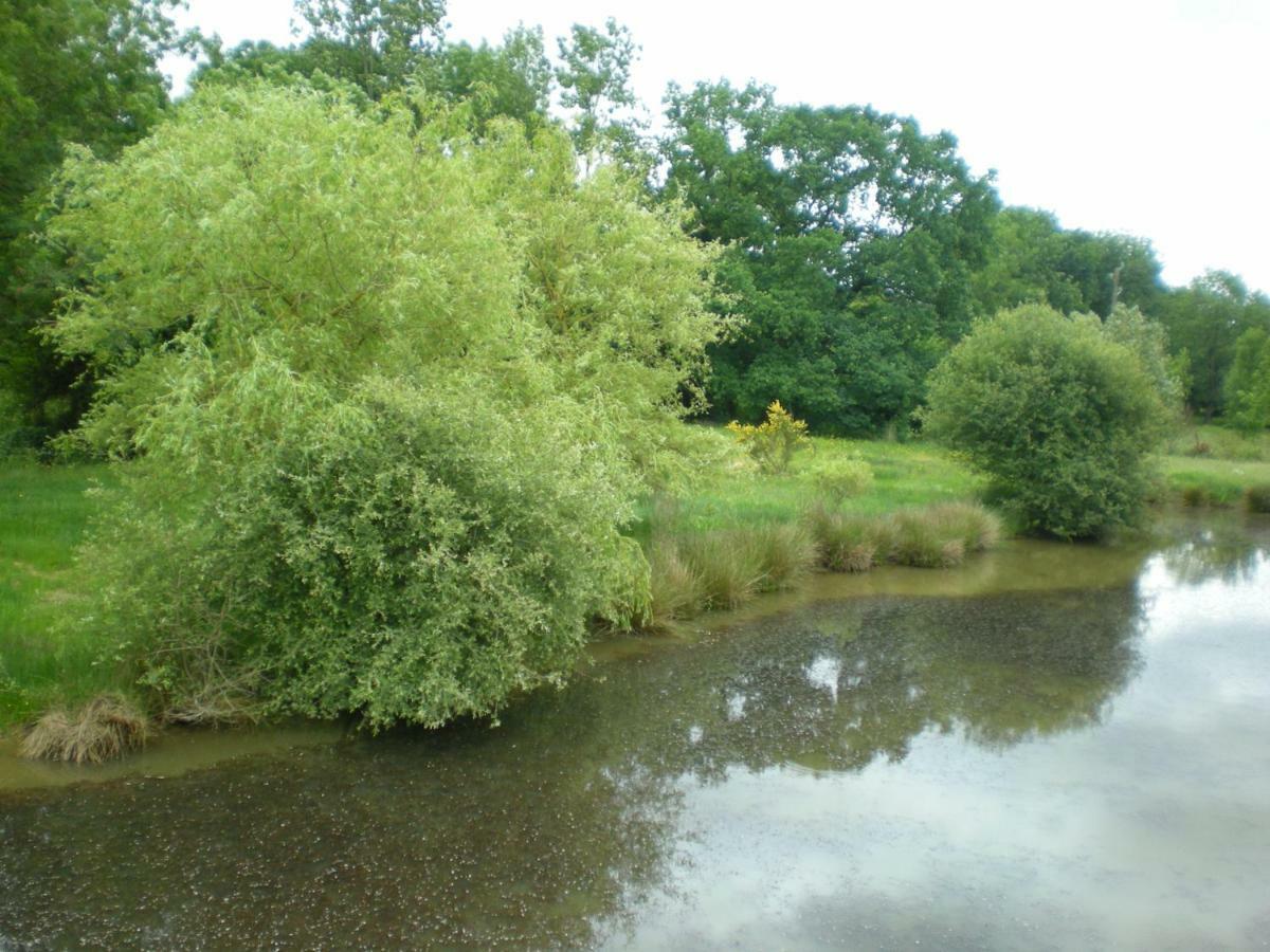 Gite Le Moulin De La Chaussee Saint-Denis-d'Orques Buitenkant foto
